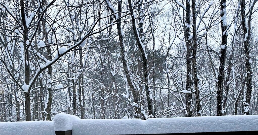 ウッドデッキからの雪景色