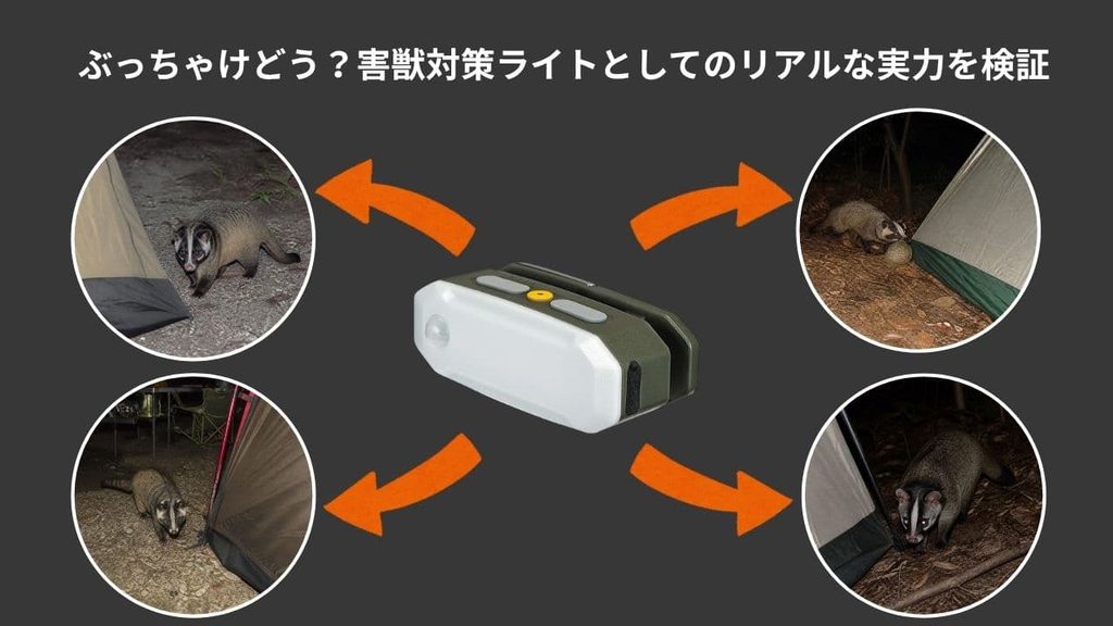テントに接近するハクビシンとBougeRV AL01
